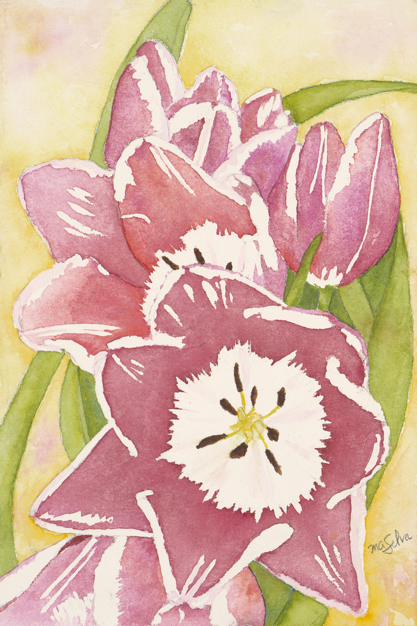 Tulips